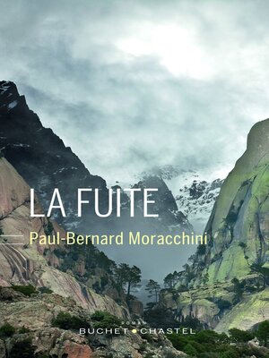 cover image of La fuite